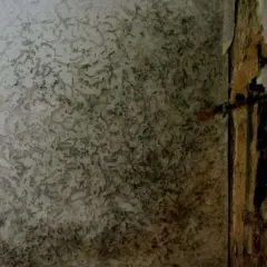 Strukturierte Wand mit dunklen Flecken, die darauf hindeuten, dass man eine feuchte Wand erkennen kann. Beschädigte Tapete an der rechten Seite.