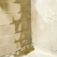 Feuchte Flecken und Pfützen zeigen, dass Wasser durch das Mauerwerk im Keller dringt.