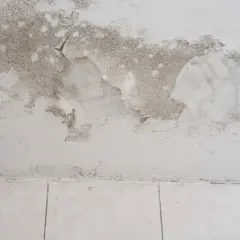 Schimmel und abblätternde Farbe an einer Wand im Keller. Der feuchte Keller zeigt deutliche Spuren von Feuchtigkeitsschäden.