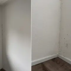Schimmel in Ecken entfernen: Dunkle Flecken an der weißen Wand zeigen, wo der Schimmel wächst.