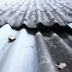 Altes, wellenförmiges Dach mit sichtbaren Schäden und Laub. Ein undichtes Dach reparieren: Kosten prüfen.