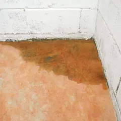 Feuchter Boden in einer Ecke mit weißen Betonwänden. Wasserflecken und Feuchtigkeit sind sichtbar.