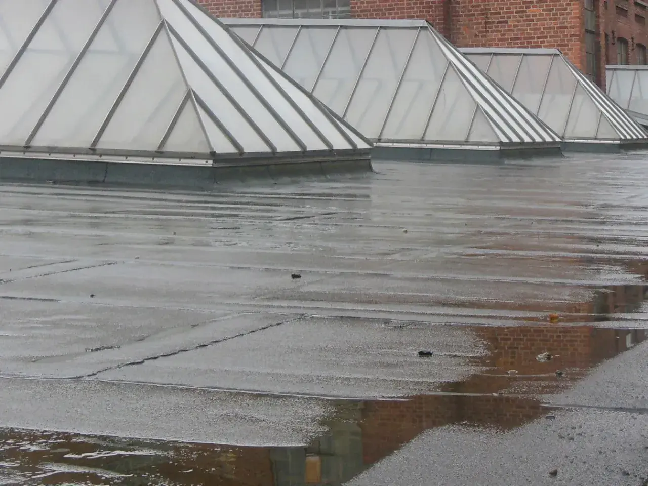 Regennasse Dachflächen mit sichtbarer flachdach neigung und mehreren Oberlichtern.
