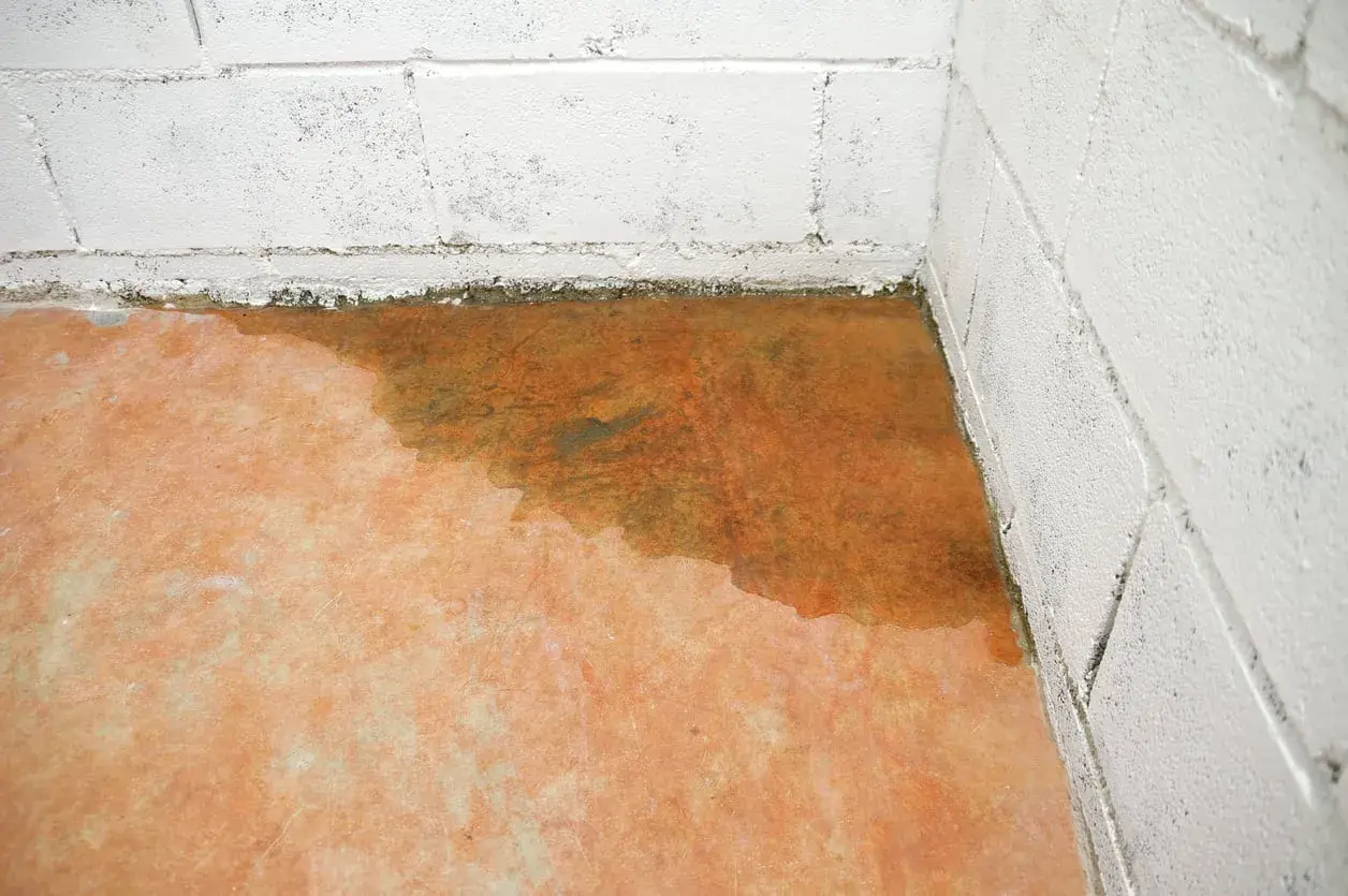Feuchter Boden in einer Ecke mit weißen Betonwänden. Wasserflecken und Feuchtigkeit sind sichtbar.