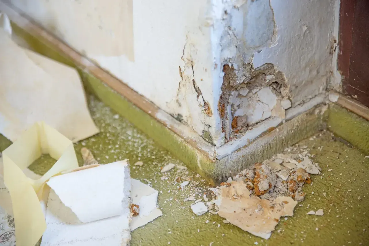 Beschädigte Ecke mit abblätternder Farbe und Putz. Der Teppich ist mit Staub und Putzresten bedeckt. Hier zeigt sich, was kapillar bedeutet: Feuchtigkeit zieht durch kleinste Risse.