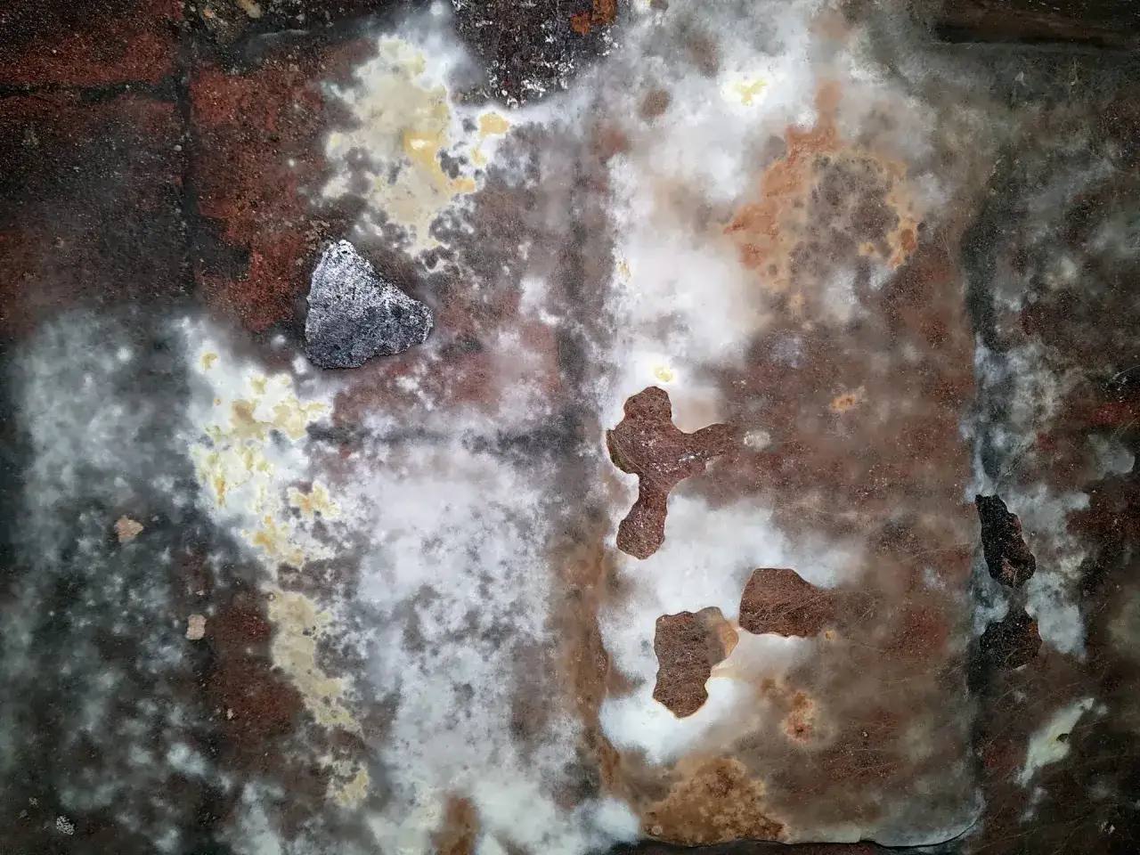 Nahaufnahme einer feuchten Wand mit weißen und gelblichen Ablagerungen auf rötlichem Untergrund. Ein graues Fragment liegt links.
