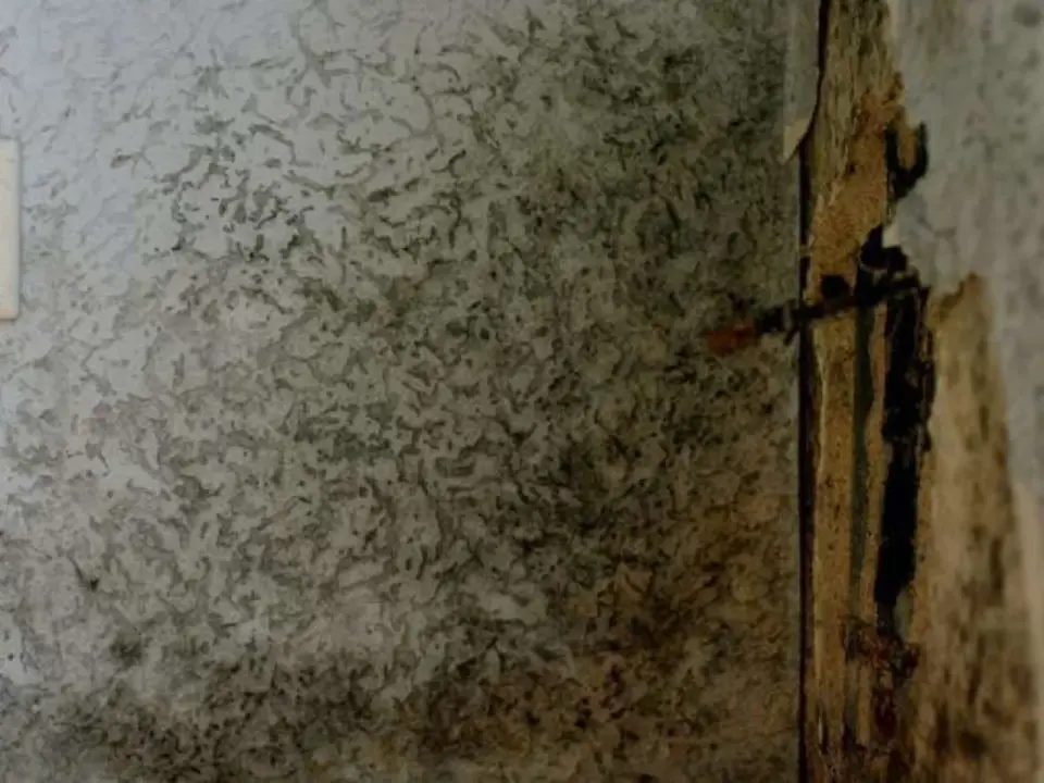 Feuchte Wand? Anzeichen erkennen & Ursachen finden!